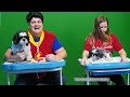 Assistant Joins Big Billy and Wiggles to learn about Dogs in School