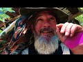 5 Day Festival SECURITY VLOG #ocf #securityguard #veneta