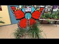 Magic Wings Butterfly Museum South Deerfield, Massachusetts