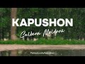 Kapushon - Galbenă Moldovă