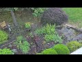 Smart Sprinkler Timer by RainPoint, Wifi Water Timer for Garden, Demo and Review