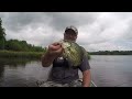 Bluegill fishing filling the basket