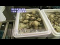 2010年4月16日 ちい散歩 船橋／昭和の風景を求めて チンドン屋