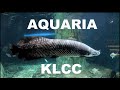 AQUARIA KLCC: Largest Public Aquarium in South East Asia [4K 50fps]