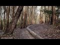 【4K】Walking through Lover's Lane in the Presidio - San Francisco