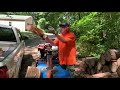 Splitting shagbark hickory firewood into my truck bed