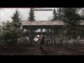 Skyrim glitch