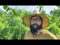 Everoak Farm: Our Goals and Intentions for Sharing on YouTube | Market Farming with Agroforestry