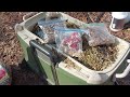 Rabbit Manure, Seeds and other Gifts From My Friend Cat