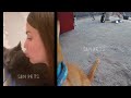 🐶😻 So Funny! Funniest Cats and Dogs 2024 😹😂 Best Funniest Animals Video 2024 # 22