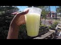 ST. AUGUSTINE, FLORIDA 2020 | Great places to snack Part 2!  Dole Whips, UFO's and more!