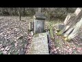 Tajemniczy cmentarz w sercu Puszczy Kampinoskiej