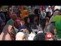 Vlog Desa | Hebohnya Emak Emak Menghadiri  Nglandeyan Bersholawat & Mengaji @bangcrisnaok2616