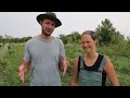 Growing Food for the Year on 1/4 Acre | Self Sufficient Garden Tour | Three Sisters Garden