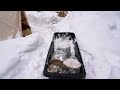 WINTER CAMPING in a Canvas Tent with My Dog using a Wood Stove for Heat and Cooking