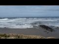 Tsunami in Newport, OR, March 11, 2011, 10:27am