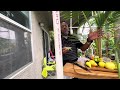 Eating Homegrown Snacks Under A Coconut Tree At Abah Garden in Las Vegas