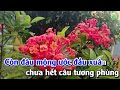 Karaoke Tình Đầu Dang Dở ( Lỡ Chuyến Đò Ngang )Tone Nam Nhạc Sống Gõ Bo  Dễ Hát Karaoke Gõ Bo Guitar