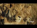 Rival Dynasties & the Fall of the Queen (Full Episode) | Savage Kingdom