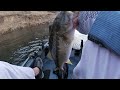 Bass Fishing Lake Don Pedro California 06 21 2024