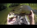 Summer Fun Fishing River Smallies!