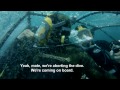 Submersible Finds Sharks in a Kill Zone
