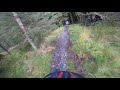 Davagh Forest | Ragley Trail