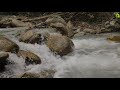 Peaceful Mountain River Flowing Sound | Relaxing White Noise Water Sounds for Sleep