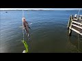 Fishing The Public Pier On 9th St Ocean City MD #ocmd #oceancitymd #fishing