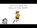 Bees - Nature's Mathematicians