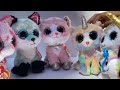 Beanie Boo Musical //part 1//