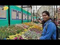 Independence day flower show 2024 Lalbagh botanical garden Bengaluru