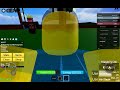 Playing Blox fruits for the first time