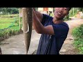 Đi Quang Chài Gặp Cá Chắm Siêu Khủng || LBQ Lai Châu