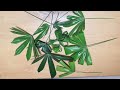 SHARING HOW TO CREATE RHAPIS PALM LEAVES