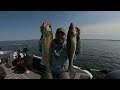 Bouncing Swimbaits For Walleye