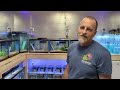 The Angelfish Whisperer Fish Room Tour