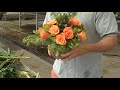 How to Arrange a Dozen Roses in a Bubble Bowl