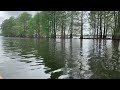 Kayaking with gator