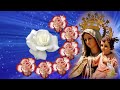 Rosario Milagroso a la Virgen del Carmen💐Santo Rosario a la Virgen del Carmen. Rosario Especial