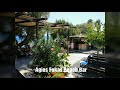 Agios Fokas Beach Bar Kos Greece