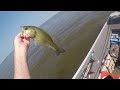 Catching bass in the grass on frogs and flukes at Toledo bend.