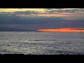 March 6, 2022, ~ Humpback Whale Breaching -w- Tiny Calf ~ Hawaii Humpback Sanctuary ~ Maui, Hawaii