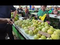 [Solomon Islands🇸🇧] Best Fruits at Honiara Central Market