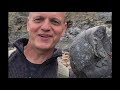 Crystal Fossils! Ichthyosaur Teeth, Ammonites and Nautilus