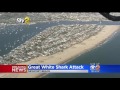 Beach Closed After Alleged Great White Shark Attack