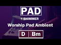 MUSICAL BACKGROUND | WORSHIP | D - Bm | PAD+SHIMMER | CONTINUOUS PAD