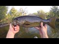 Wacky Riggin' Late Summer Smallies