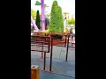 RC RACER queue (preview of reopening) From Disneyland Paris