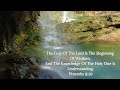 YOU ARE HOLY  |Meditation with Nature and Scripture for prayer & stress free